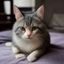 玩家高分猎人头像